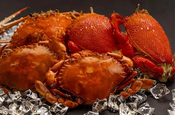 鮮蟹季｜蟹香滿席