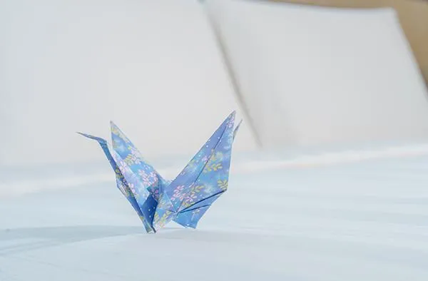 和風映歲．日航雅宿 住房專案