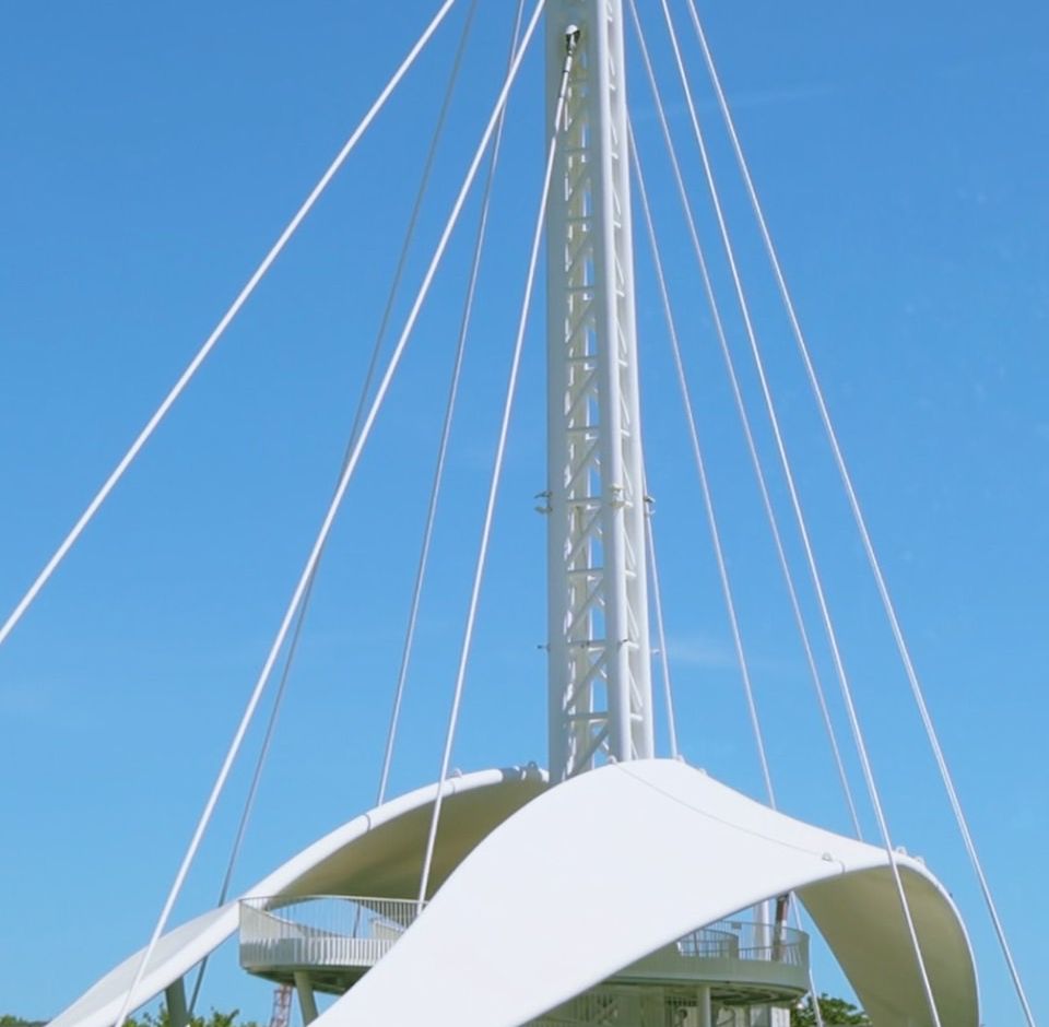 S__14442539_0_0